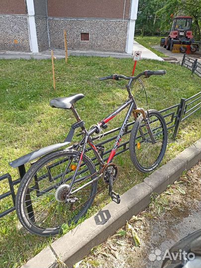 Велосипед горный Stern Dynamic 1.0