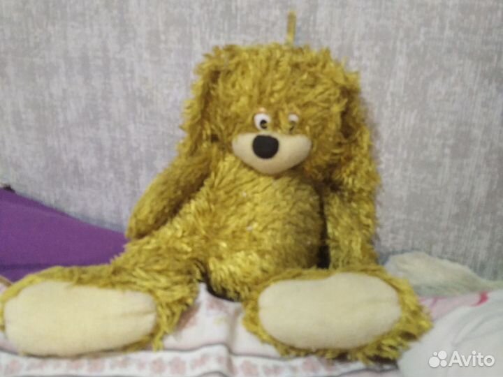 Собака, Заяц