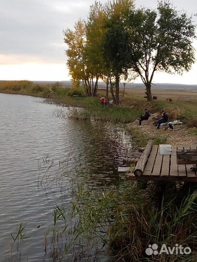 Земля в аренду