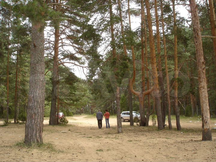 Участок 3,2 га (СНТ, ДНП)