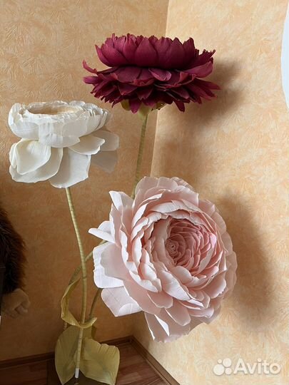 Ростовые цветы