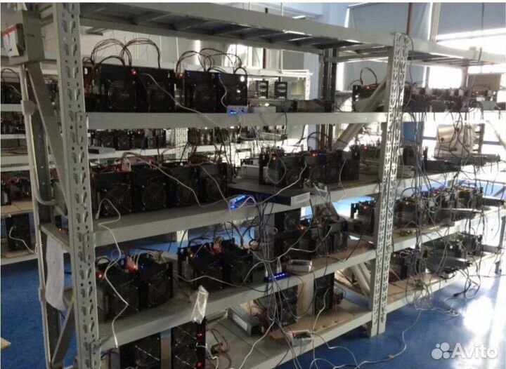 Майнинг отель 8.08 запуск 4.3р