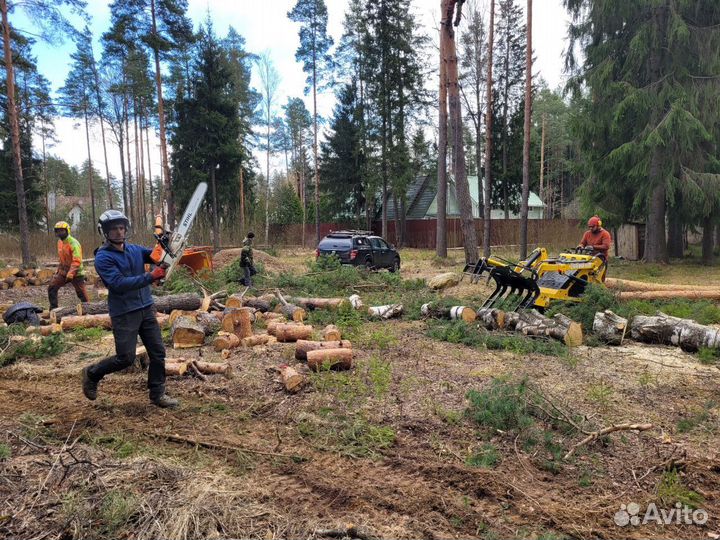 Расчистка участка без посредников. Спил деревьев