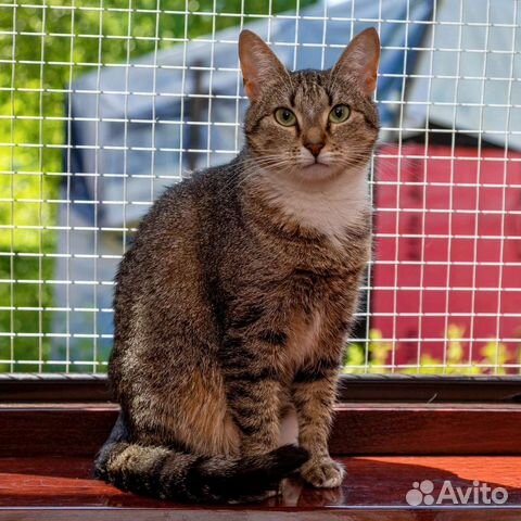 Красотка Глаша