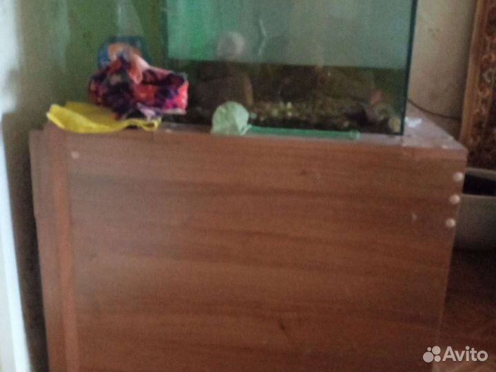 Аквариум с тумбой с крышкой