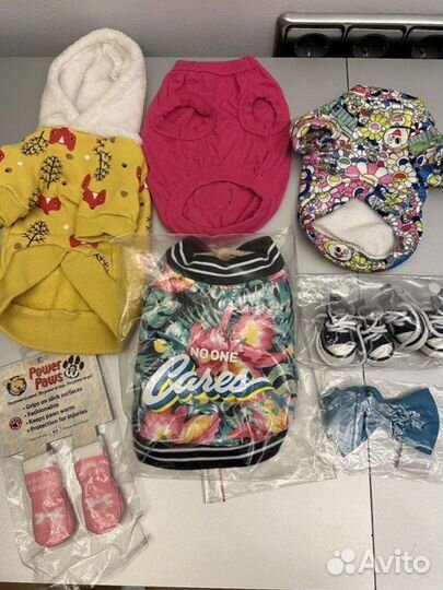 Одежда и обувь для маленькой собачки
