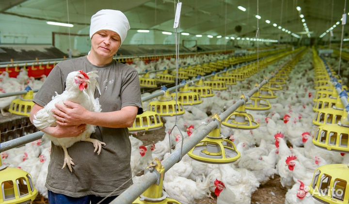 Разнорабочий с проживанием (Челябинск)