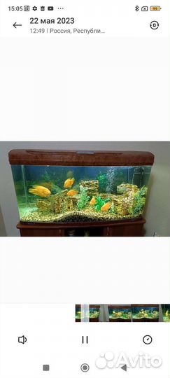 Обслуживание аквариумов