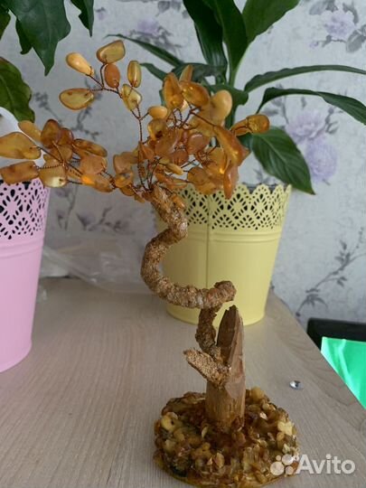 Янтарное дерево