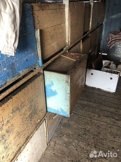 Пчелопавельон