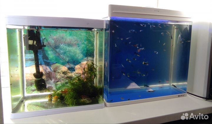 Аквариумы панорамные