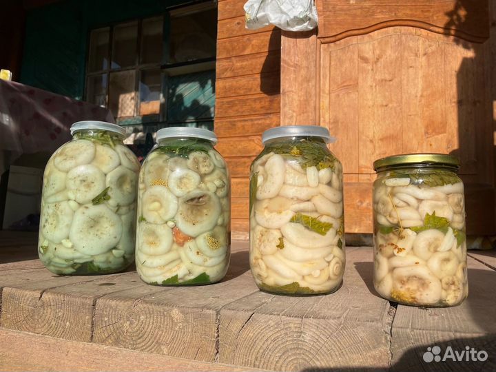 Белые грибы