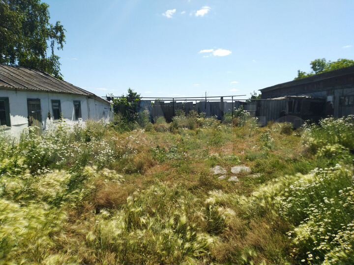 Дом 67,5 м² на участке 48 сот.