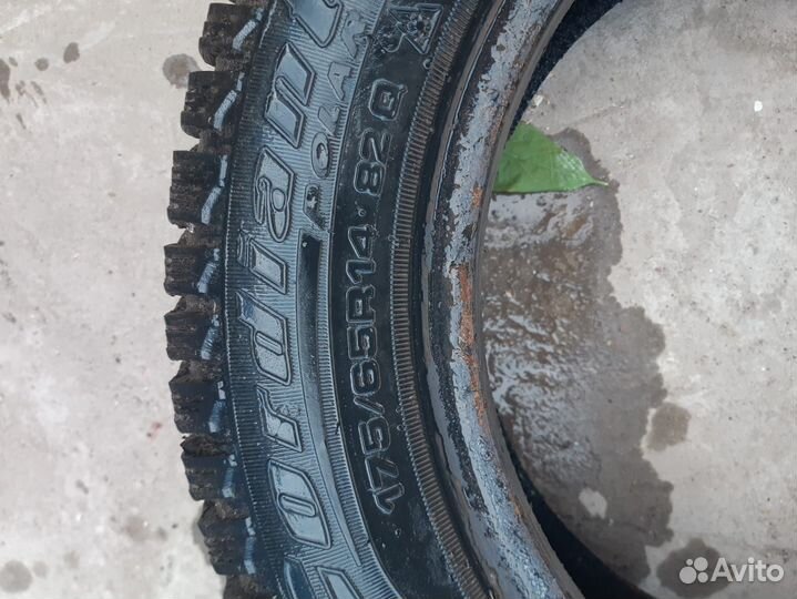 Cordiant Polar SL 175/65 R14