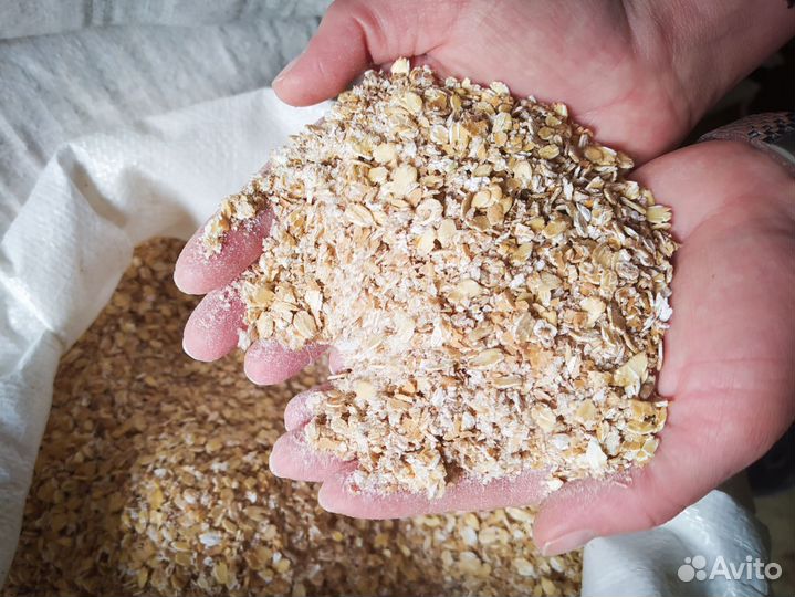 Геркулес (овсяные хлопья) для с/х животных