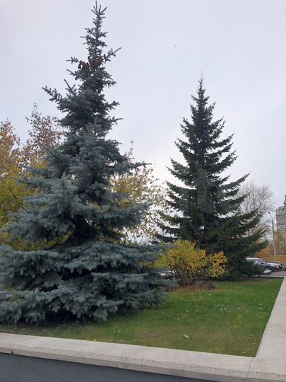 Аренда офиса, 624.3 м²