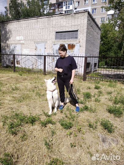 Кинолог-специалист по организации племенного дела