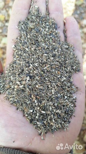 Отходы сепорации подсолнечника маслозавод