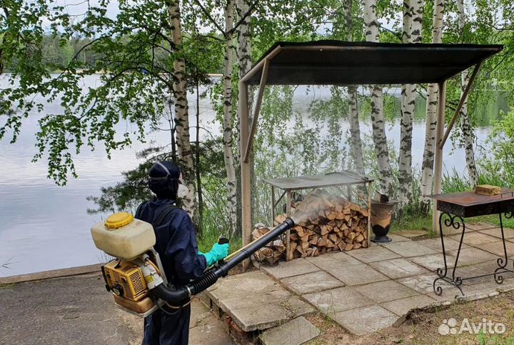 Уничтожение тараканов, клопов тараканов плесени