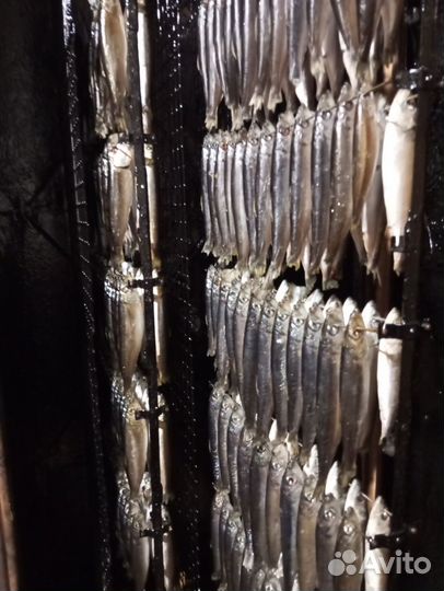 Шпроты домашние из копчёной салаки