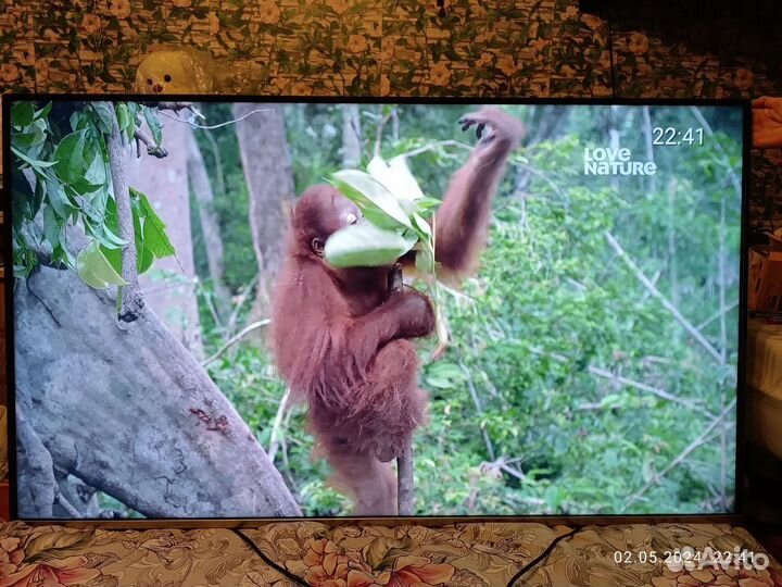 Телевизор Skyworth 58 Wi-Fi SMART TV 4K UHD