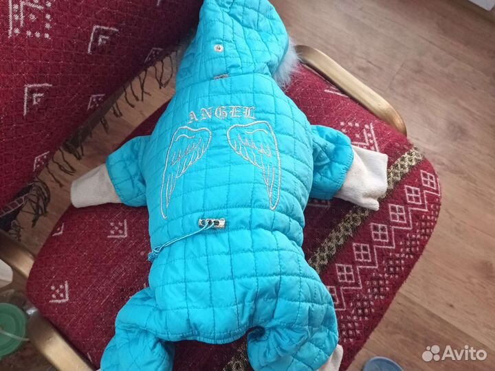 Зимний костюм для собак