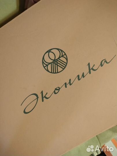 Зимние сапоги Эконика