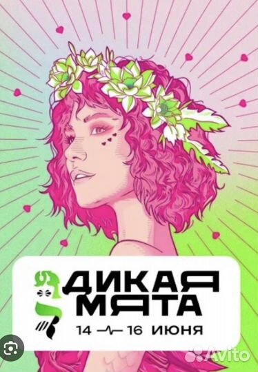 Билет Дикая Мята
