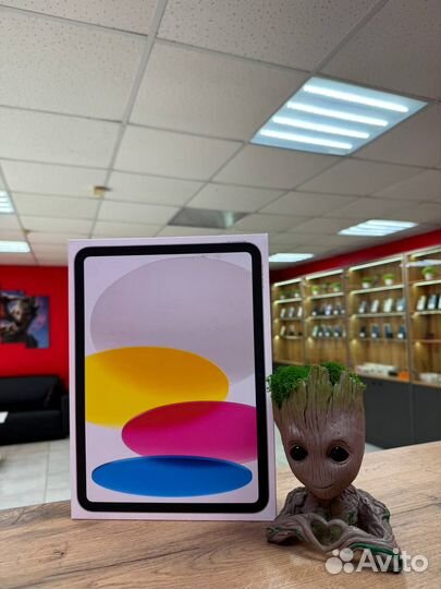 iPad 10 256Gb Wi-Fi + Cellular Silver