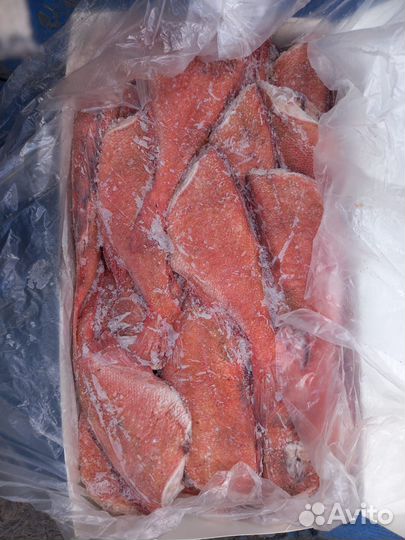 Окунь морской (без головы)