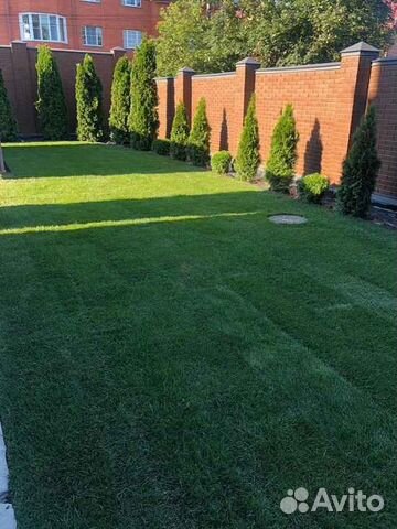Рулонный газон /продажа/укладка