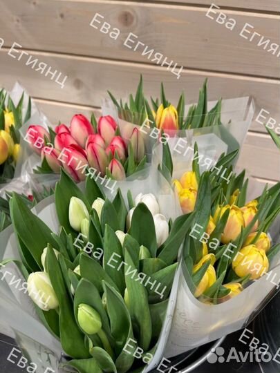 Тюльпаны розница
