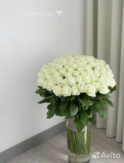 Доставка цветов букеты роз 101 роза