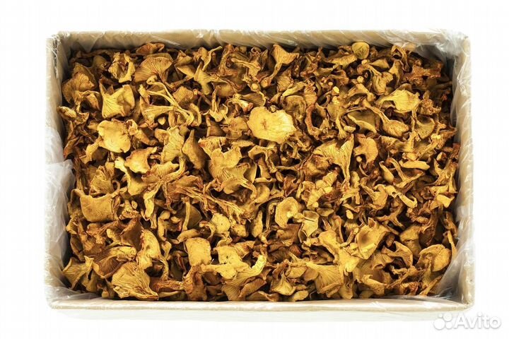 Сушеные грибы