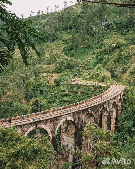 Шри-Ланка, индивидуально на любые даты