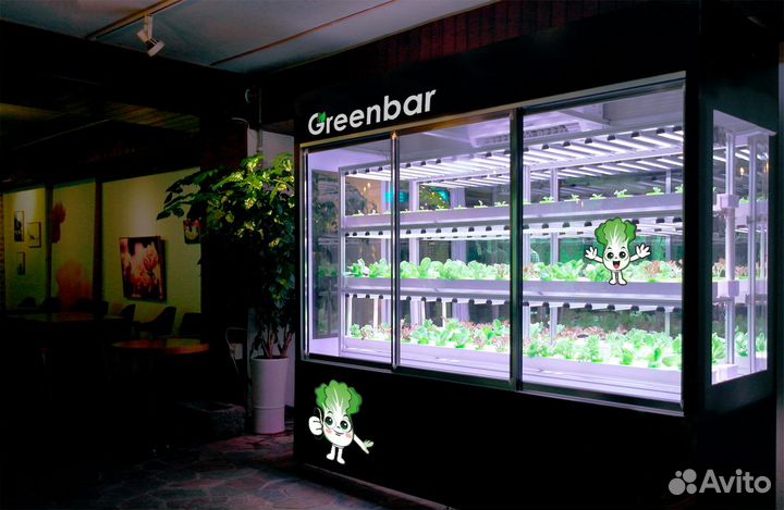 Готовая ферма для выращивания зелени и клубники