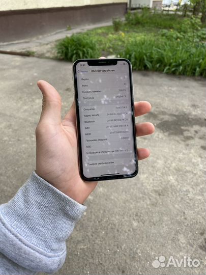 iPhone X, 256 ГБ