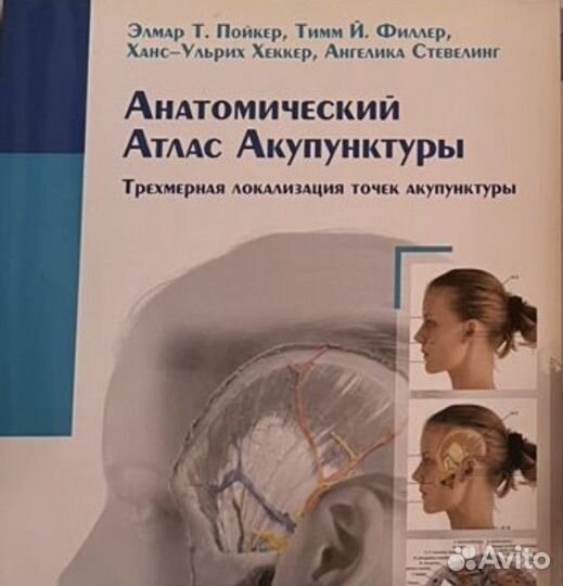 Анатомический атлас акупунктуры
