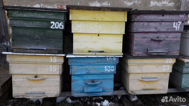 Продам улья и ловушки для пчёл