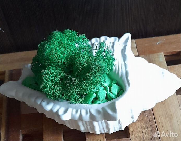 Изделия из гипса со стабилизированным мхом