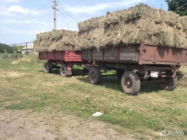 Сено в квадратных тюках