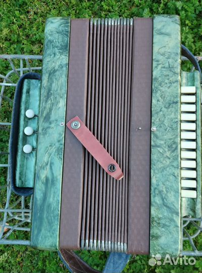 Гармонь детская