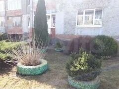 2-к. квартира, 55,3 м², 1/2 эт.