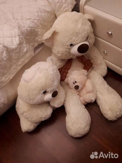 Плюшевые медведи
