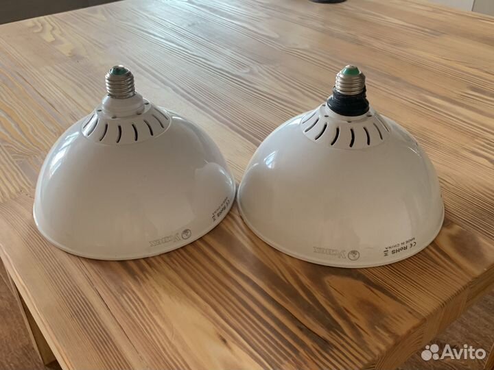 Фитолампы Успех