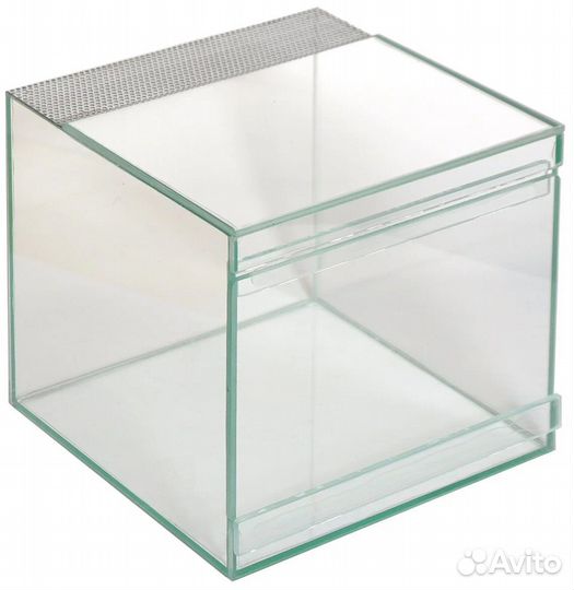 Паучатник / террариум