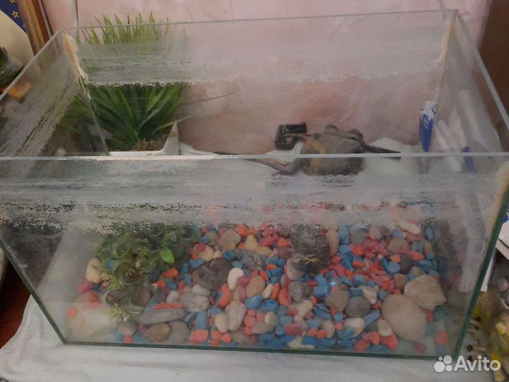 Аквариум 12 л круглый