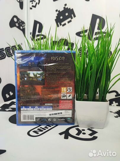 Risen PS4 NEW