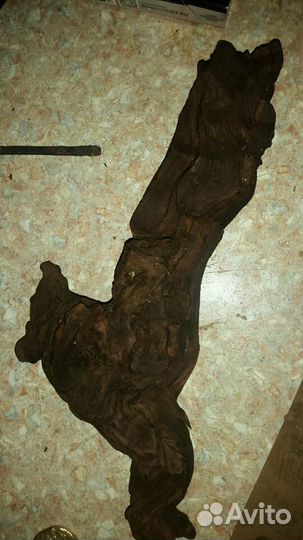 Самородок железного дерева