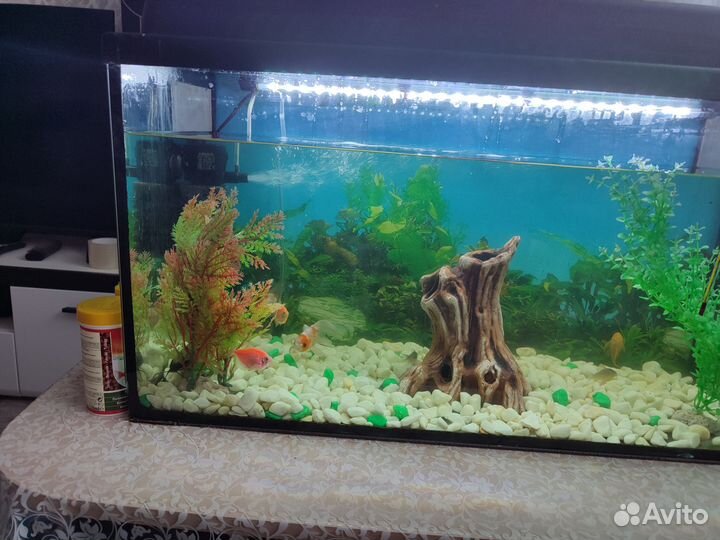Аквариум 75 л